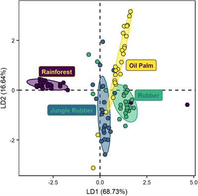 Changes in Trophic Groups of Protists With Conversion of Rainforest Into Rubber and Oil Palm Plantations